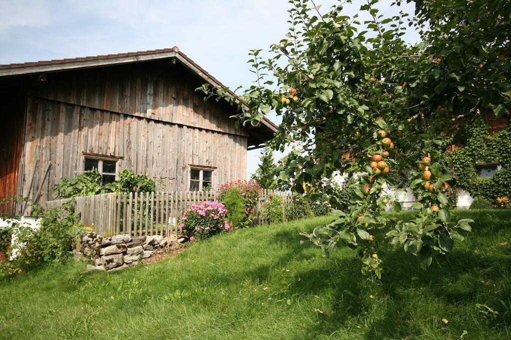 Landhaus Berktold أوبيرميسلشتاين المظهر الخارجي الصورة