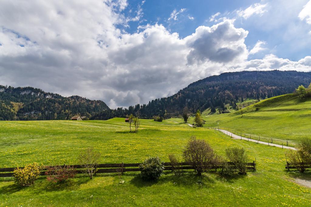 Landhaus Berktold أوبيرميسلشتاين المظهر الخارجي الصورة